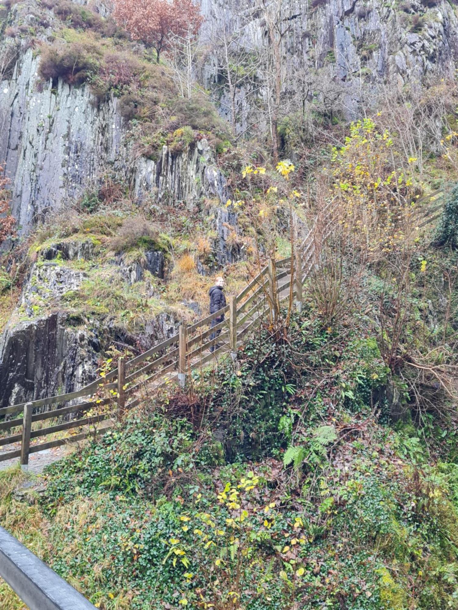 Marian Cottage Ingleton  Bagian luar foto
